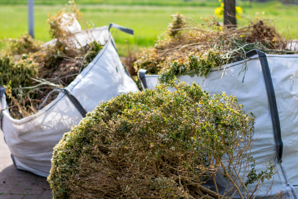 Best Trash Removal Near Me  in North Grosvenor Dale, CT